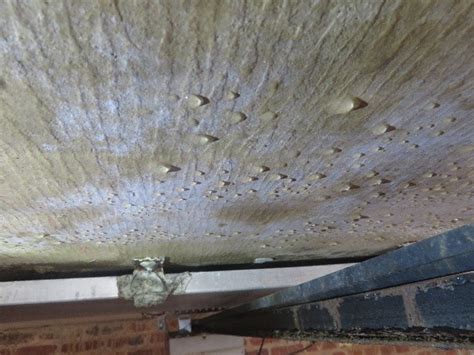 leak in garage ceiling|Mystery Ceiling Water leak in Garage Turns out to be a Tub Drain ...